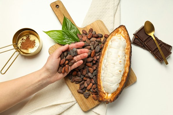 Comment organiser une visite des plantations de cacao en Équateur?